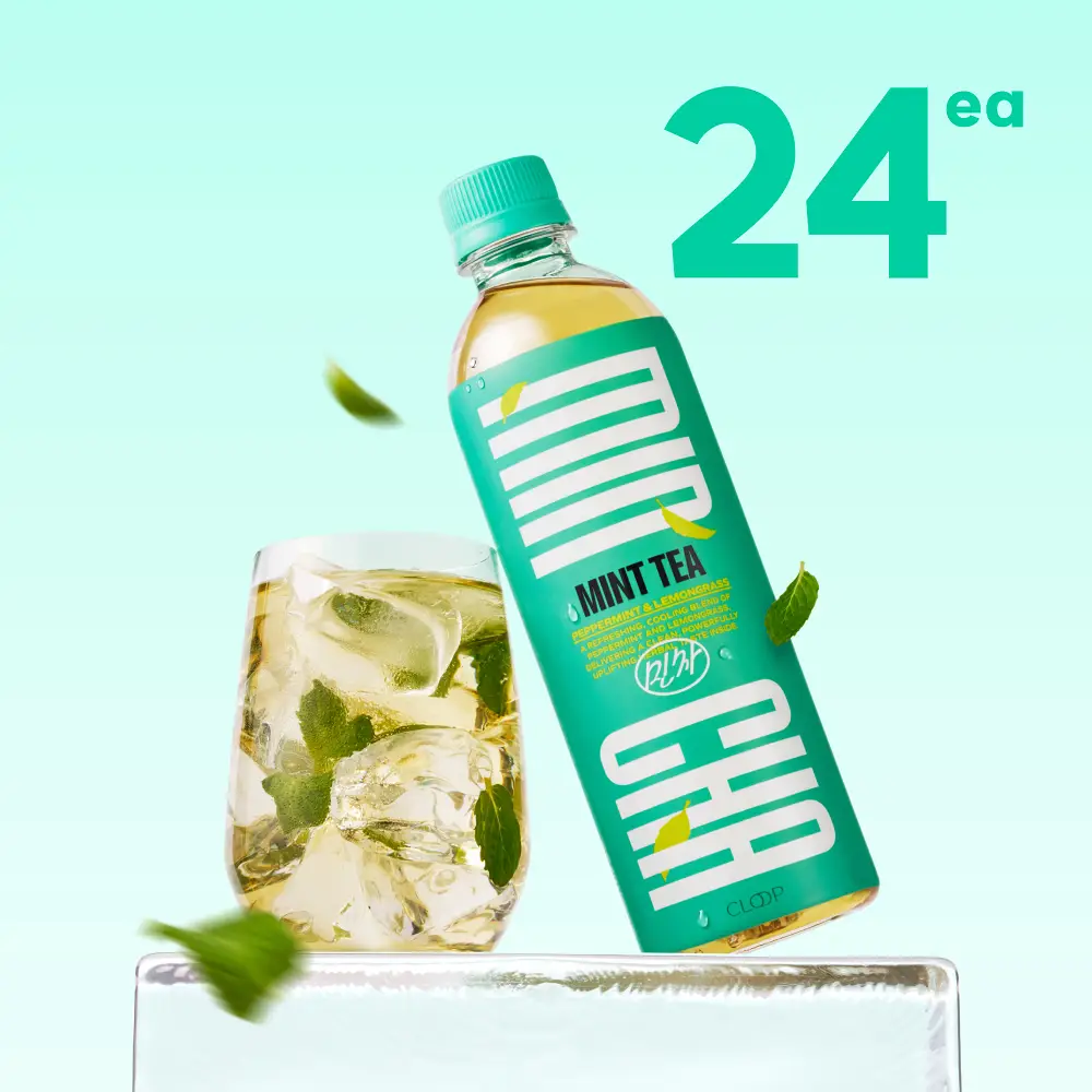 [NEW] 클룹 민차 500ml 24개입